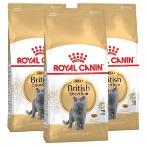 Сухой корм для кошек Royal Canin для британских короткошерстных 3 шт. х 2 кг