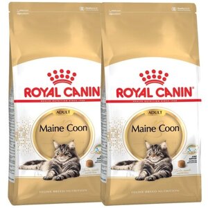 Сухой корм для кошек Royal Canin Maine Coon Adult Корм для взрослых кошек породы Мэйн Кун от 15 месяцев до 12 лет 2 шт. х 10 кг (кусочки в соусе)