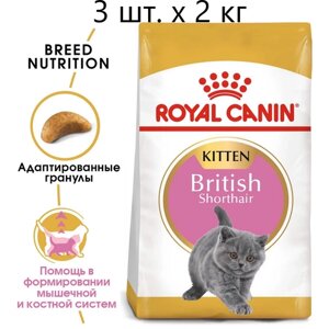 Сухой корм для котят Royal Canin British Shorthair Kitten, для котят породы британская короткошерстная, 3 шт. х 2 кг