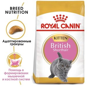 Сухой корм для котят Royal Canin Kitten British Shorthair для британских короткошерстных котят от 4 до 12 месяцев 2 уп. х 2 кг