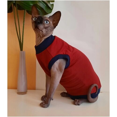 Свитшот для кошек, размер 30 (длина спины 30см), цвет бордовый / толстовка свитшот свитер для кошек сфинкс / одежда для животных