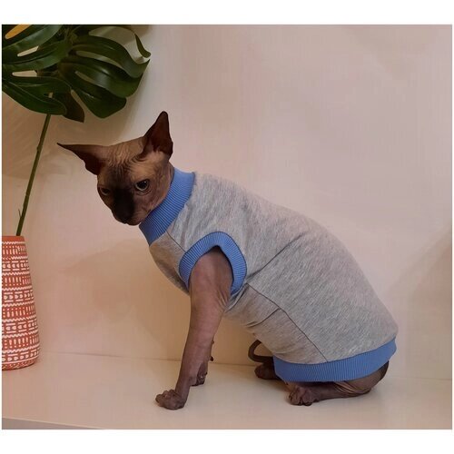 Свитшот для кошек, размер 30 (длина спины 30см), цвет серый меланж / толстовка свитшот свитер для кошек сфинкс / одежда для животных