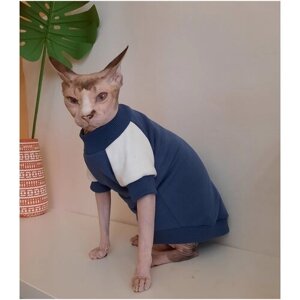 Свитшот для кошек, размер 35 (длина спины 35см), цвет индиго+молочный/для сфинксов/сфинкс/одежда для кошек/кофта для кошек/свитер для кошек