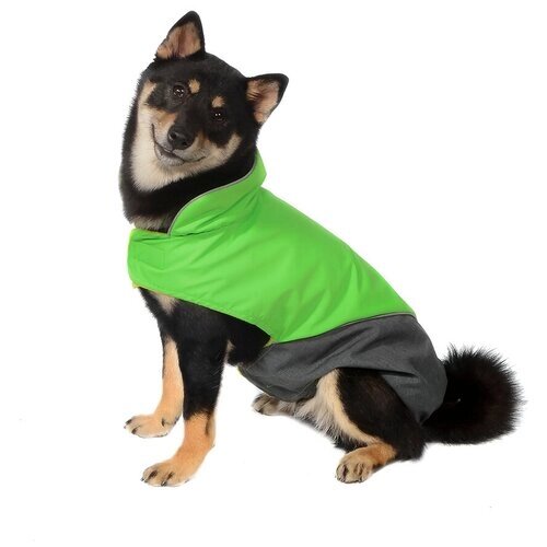 Tappi одежда Попона Блант для собак зеленая, размер L, спинка 38 см, лд22ос, 0,115 кг