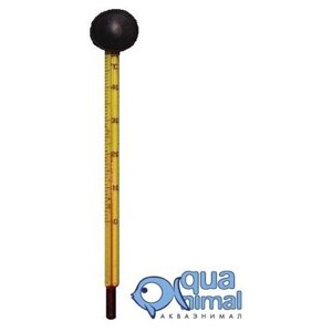 Термометр в блистере тонкий 15см (Барбус) accessory 003