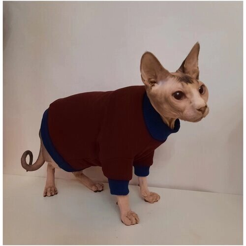 Толстовка для кошек, размер 35 (длина спины 35см), цвет портвейн/свитшот для кошек/для сфинксов/сфинкс/одежда для кошек