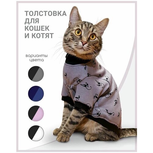 Толстовка одежда для кошек и котов сфинкс "Лиловый кот"