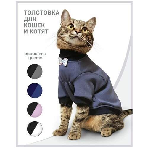 Толстовка одежда для кошек сфинкс "Джентльмен"