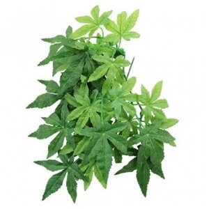 TP003-20 Растение для террариума Амбутилон 50см (2 шт)