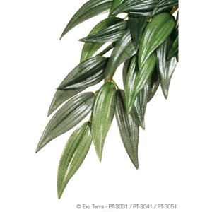 Тропическое растение Exo Terra Jungle Plants пластиковое Рускус большое 70х20 см