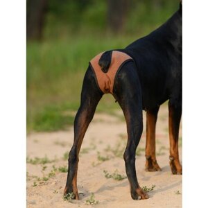 Трусы для собак многоразовые OSSO Fashion, р. XXS ( талия 18-36, глубина 19) цвет коричневый