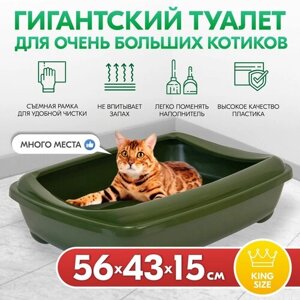 Туалет для кошек, лоток для кошек "PetTails" для Мейн-кунов глубокий, большой (под наполнитель) 56*43*15см, изумрудный