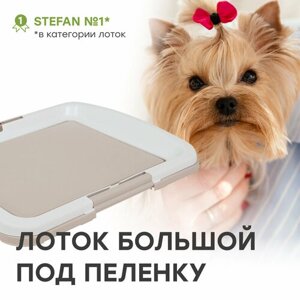 Туалет для собак STEFAN (Штефан) под одноразовую пеленку большой (L), размер 63x48, BP1033