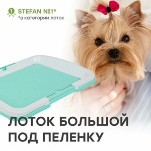 Туалет-лоток для собак мелких и средних пород под одноразовую пеленку большой (L), STEFAN (Штефан) размер 63x48, BP1032