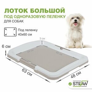 Туалет-лоток для собак под пеленку большой (L) STEFAN (Штефан) размер 63x48, BP1031