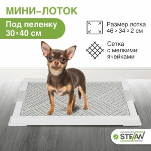 Туалет лоток STEFAN (Штефан) для собак мелких пород с сеткой, под пеленку (XS) 46x34x2 см, белый, BP1040