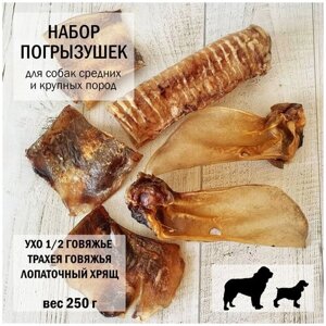 Ухо говяжье / трахея говяжья / лопаточный хрящ Dogs Appetite / лакомство для собак / набор для чистки зубов