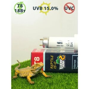 Ультрафиолетовая лампа UVB 15.0%18W (60см) для рептилий LuckyHerp. Цоколь Т8