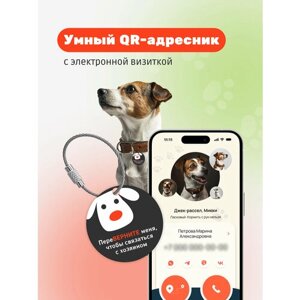 Умный адресник-медальон на ошейник для собаки с QR-кодом, контактами владельца и мобильным приложением хозяина