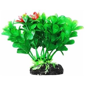 УЮТ Растение аквариумное 11см Людвигия зеленая 0,055кг (ВК202)