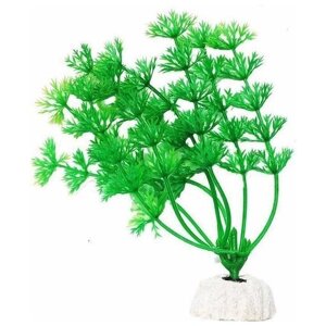 Уют ВК103 Растение Амбулия зеленая 10см