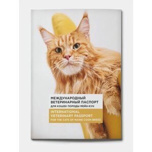 Ветеринарный паспорт международный для кошек породы мейн-кун