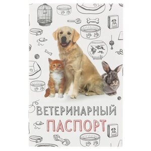 Ветеринарный паспорт "Мой лучший друг", 10,3 х 15,1 см