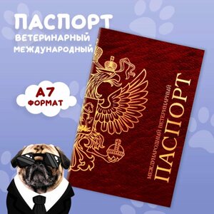 Ветеринарный паспорт Пушистое счастье, международный универсальный