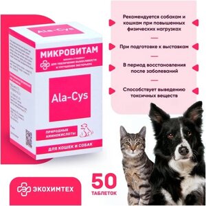 Витамины для кошек и собак Микровитам Экохимтех 50 таблеток