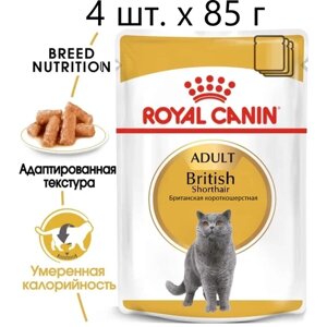 Влажный корм для кошек Royal Canin British Shorthair Adult, для взрослых кошек породы британская короткошерстная, 4 шт. х 85 г (кусочки в соусе)