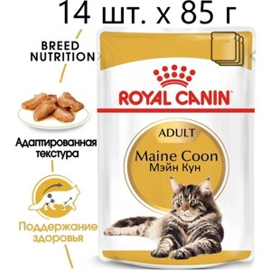 Влажный корм для кошек Royal Canin Maine Coon Adult, для взрослых кошек породы мейн-кун, 14 шт. х 85 г (кусочки в соусе)