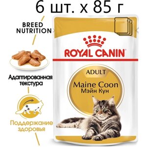 Влажный корм для кошек Royal Canin Maine Coon Adult, для взрослых кошек породы мейн-кун, 6 шт. х 85 г (кусочки в соусе)
