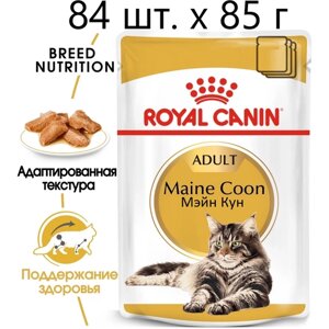 Влажный корм для кошек Royal Canin Maine Coon Adult, для взрослых кошек породы мейн-кун, 84 шт. х 85 г (кусочки в соусе)