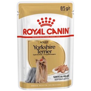 Влажный корм для собак Royal Canin породы Йоркширский терьер, для здоровья кожи и шерсти 1 уп. х 1 шт. х 85 г (для карликовых пород)