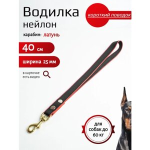 Водилка Хвостатыч для собак с золотым латунным карабином нейлон 40 см 25 мм (черно-красный)
