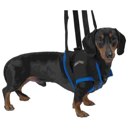 Вожжи на передние конечности для собак Kruuse "Walkabout harness", размер: M-L
