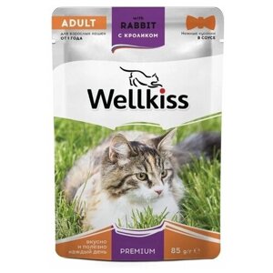 Wellkiss Adult влажный корм для взрослых кошек с кроликом в соусе, 85 г, 20шт