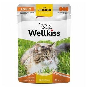Wellkiss Adult влажный корм для взрослых кошек с курицей в желе, 85 г, 20 шт