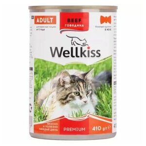 Wellkiss Влажный корм консервы для кошек, нежные кусочки с говядиной в желе, 410 гр, 4 шт