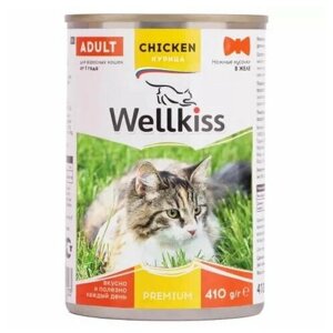 Wellkiss Влажный корм консервы для кошек, нежные кусочки с курицей в желе, 410 гр, 4 шт