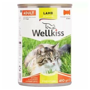 Wellkiss Влажный корм консервы для кошек, нежные кусочки с ягненком в желе, 410 гр.