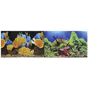 Задний фон для аквариума Prime Морские кораллы/Подводный мир 60х60х30 см