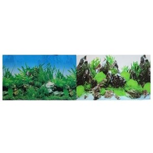 Задний фон для аквариума Prime Растительный/Скалы 100х100х50 см
