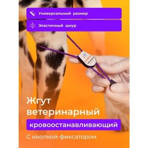 Жгут ветеринарный кровоостанавливающий с фиксатором AniMall / Фиолетовый / Медицинский
