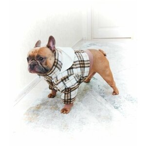 Зимняя куртка для собак средних пород/одежда для собак/куртка для собак/ В клетку, бежевая. Размер XXL