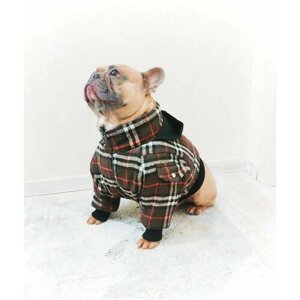 Зимняя куртка для собак средних пород/одежда для собак/куртка для собак/ В клетку, коричневая. Размер M