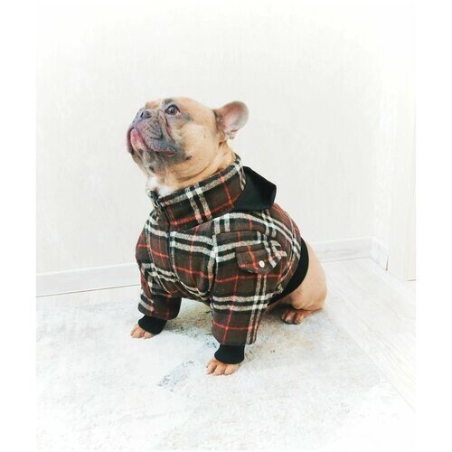 Зимняя куртка для собак средних пород/одежда для собак/куртка для собак/ В клетку, коричневая. Размер XXL