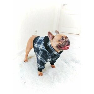 Зимняя куртка для собак средних пород/одежда для собак/куртка для собак/ В клетку, синяя. Размер M