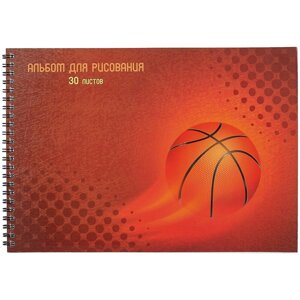 Альбом для рисования 30л "Basketball" гребень, мел. картон, выб. лак