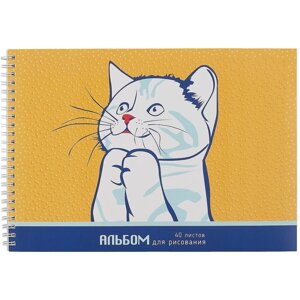 Альбом для рисования 40л "Kitty" гребень, мел. картон, выб. лак, блестки «Золото»